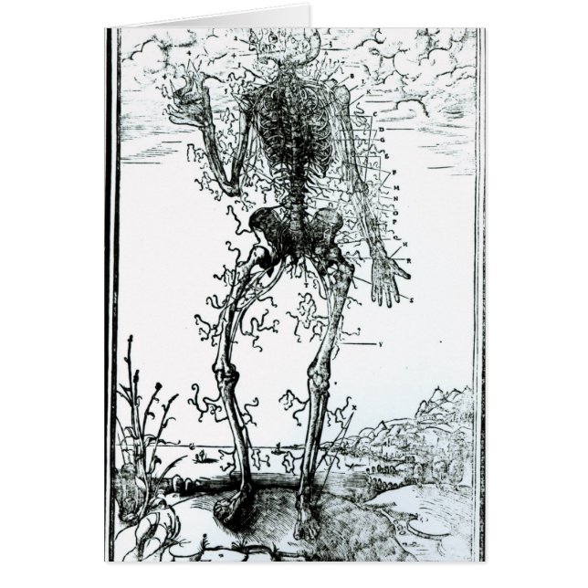 Système vasculaire du corps (Devant)