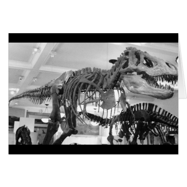 T-Rex Crayon squelette (Devant horizontal)
