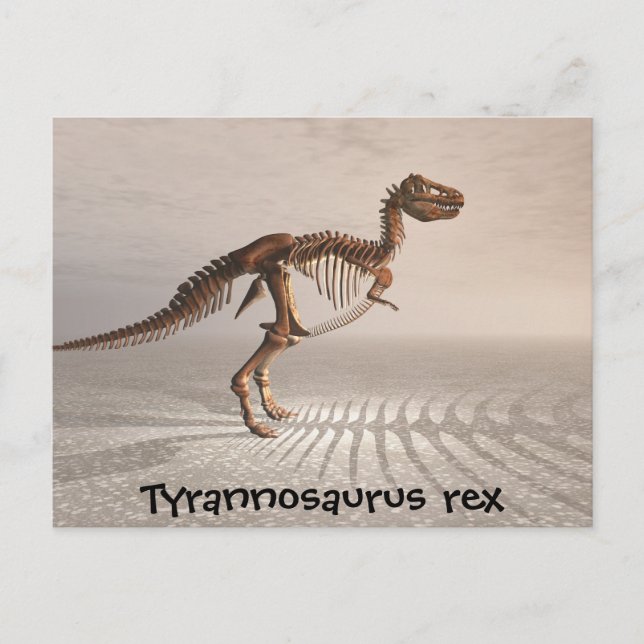 T. rex Dinosaur Skeleton carte postale (Devant)