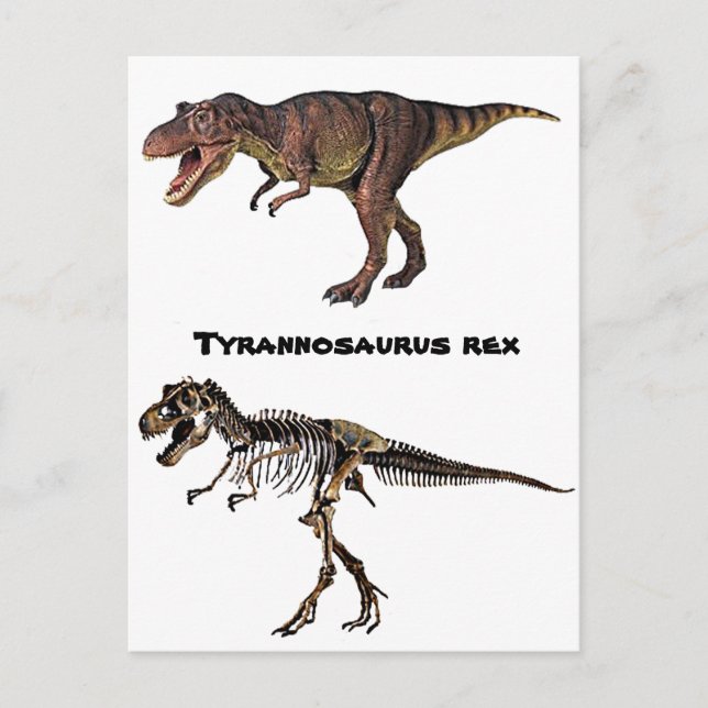T-rex Flesh-n-Bone, Carte postale (Devant)