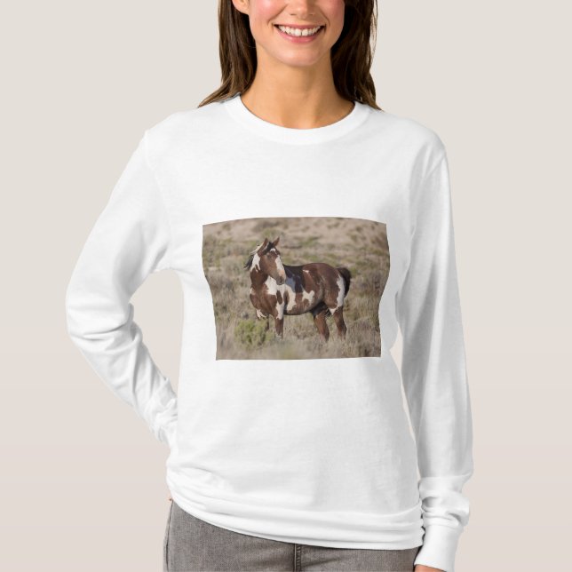 T-SHIRT  (Devant)