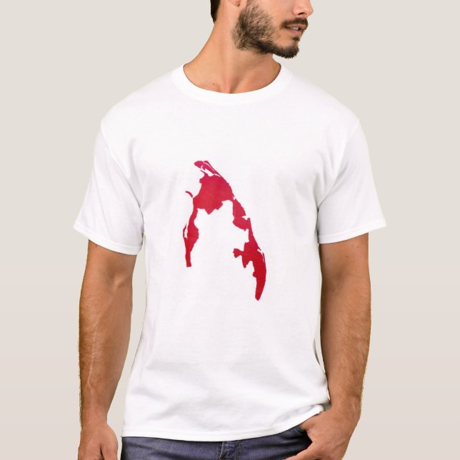 T-shirt  (Devant)