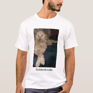 T-shirt 101_1570, Goldendoodle