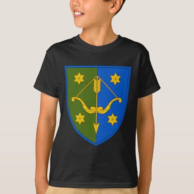 T-shirt 10e corps d'armée (ukraine) V2 armée ukrainienne  (Devant)