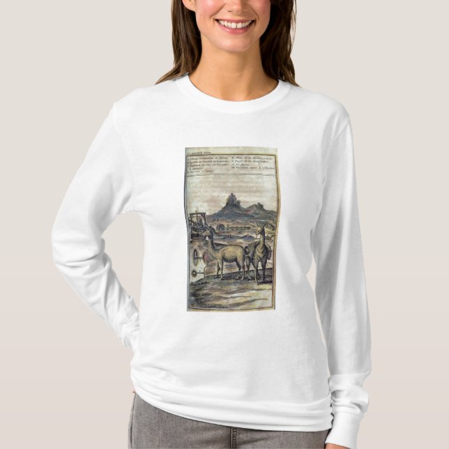 T-shirt 137-0627924 illustration d'une histoire du Pérou (Devant)