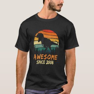 T-shirt 15e anniversaire Dinosaur 15 ans Garçons Awesome S