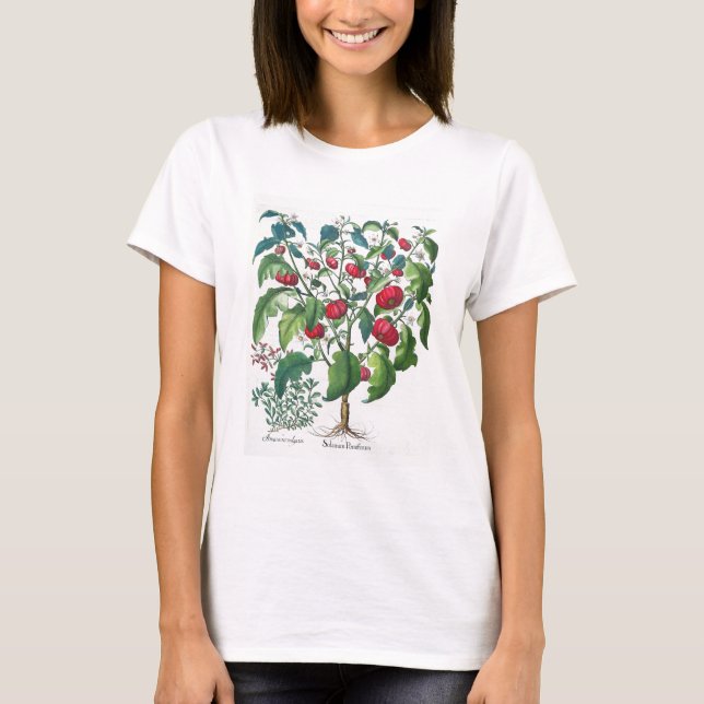 T-shirt 1.Solanum Pomiferum; 2.Amaracus vulgaris, from the (Devant)