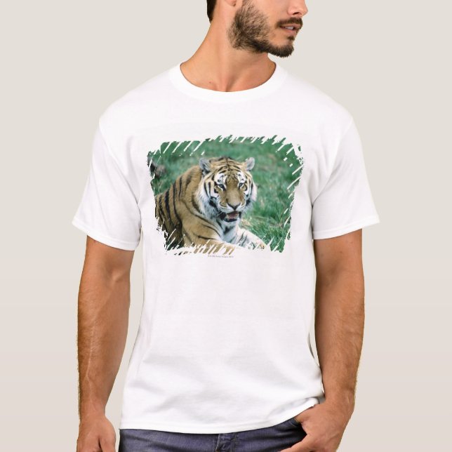 T-SHIRT 24103189 (Devant)