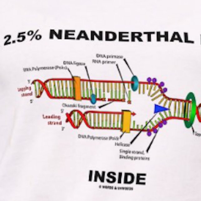 T-shirt 2,5 % d'ADN néandertal à l'intérieur (réplication  (Tee featuring DNA replication + the saying "2.5% Neanderthal [DNA] Inside" for any Homo sapien)