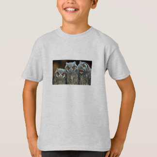 T-shirt 3 petits hiboux