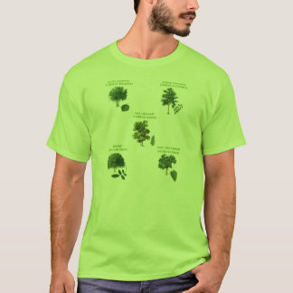 T-shirt 5 arbres