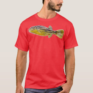 T-shirt A Fahaka Nil Pufferfish Blanc Conception alternati