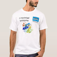 T-shirt à structure moléculaire lysozyme