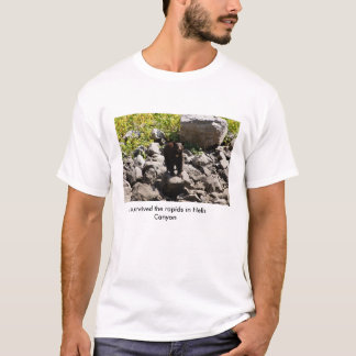 T-shirt A survécu à la rapide en canyon d'enfers