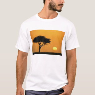 T-shirt Acacia solitaire en silhouette au lever du soleil,