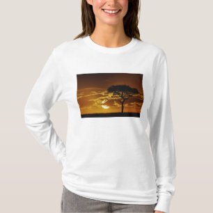 T-shirt Acacia tortilis, Acacia tortilis,
