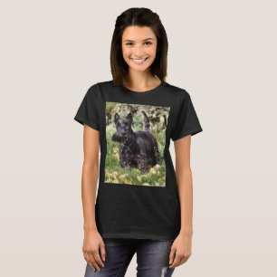 T-shirt Ach !