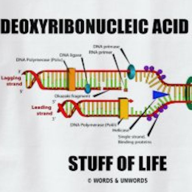 T-shirt Acide Désoxyribonucléique (ADN) Stude De Vie (Molecular biology humor tee featuring DNA replication along with caption "Stuff Of Life")