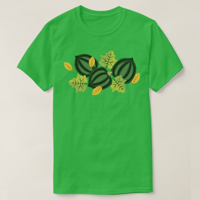 T-shirt Acorn Squash (Design devant)