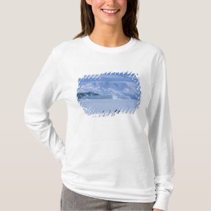 T-shirt Adelie Penguins, Pygoscelis adeliae),