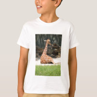 adorable Giraffe assise