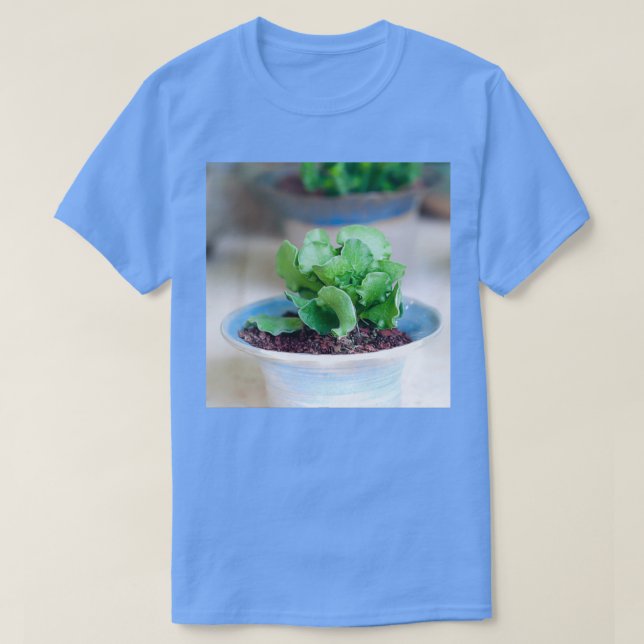 T-shirt Adromischus cristatus is a species of succulents f (Design devant)