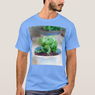 T-shirt Adromischus cristatus is a species of succulents f