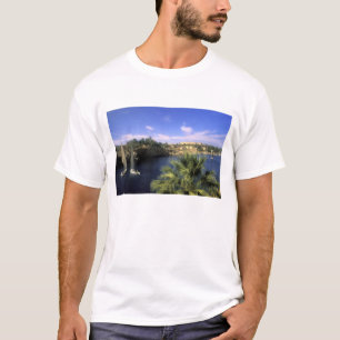 T-shirt AF, Égypte, Haute-Égypte, Assouan. Nil,