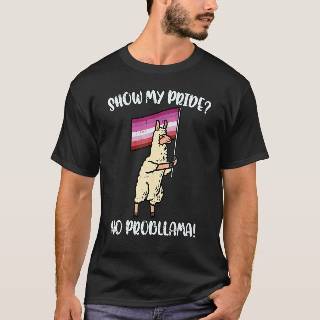 T-shirt Afficher Ma Fierté Pas De Problème Drapeau Lesbien (Devant)