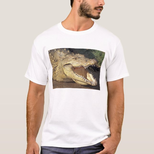 T-shirt Afrique, Afrique du Sud Crocodile du Nil (Devant)