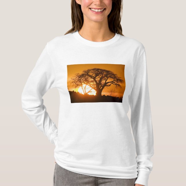 T-shirt Afrique, Botswana, Coucher de soleil silhouette Ba (Devant)