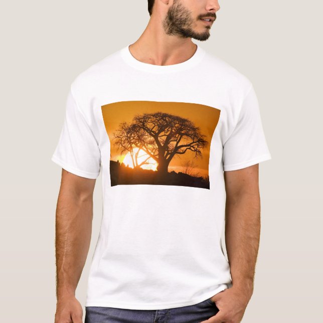 T-shirt Afrique, Botswana, Coucher de soleil silhouette Ba (Devant)