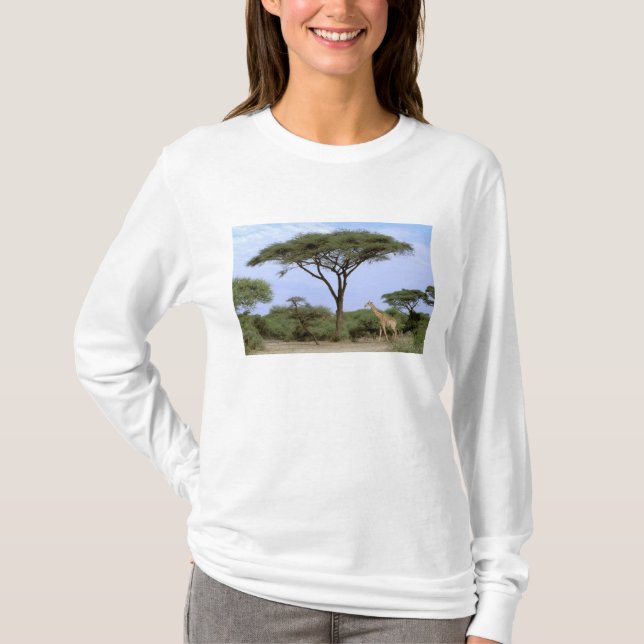 T-shirt Afrique, Botswana, Delta de l'Okavango. Sud (Devant)