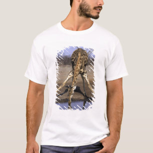 T-shirt Afrique, Botswana, Parc national de Chobe, Girafe
