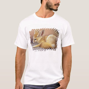 T-shirt Afrique du Nord. Fennec Fennecus zerda)