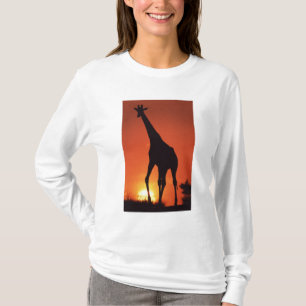 T-shirt Afrique du Sud, Kruger NP. Girafe (Giraffa