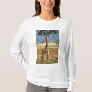 T-shirt Afrique, Kenya, Amboseli NP. Un girafes commun, ou