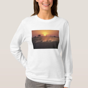 T-shirt Afrique, Kenya, Amboseli NP. Zèbres marchent vers 