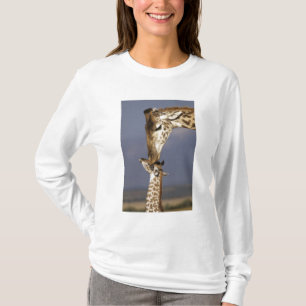 T-shirt Afrique, Kenya, Masai Mara. Girafes (Giraffa