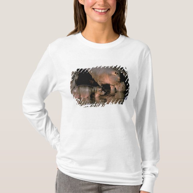 T-shirt Afrique, Kenya, Masai Mara. Hippopotames communs (Devant)
