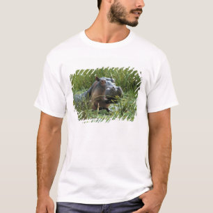 T-shirt Afrique, Kenya, Masai Mara NR. Une mère hippo