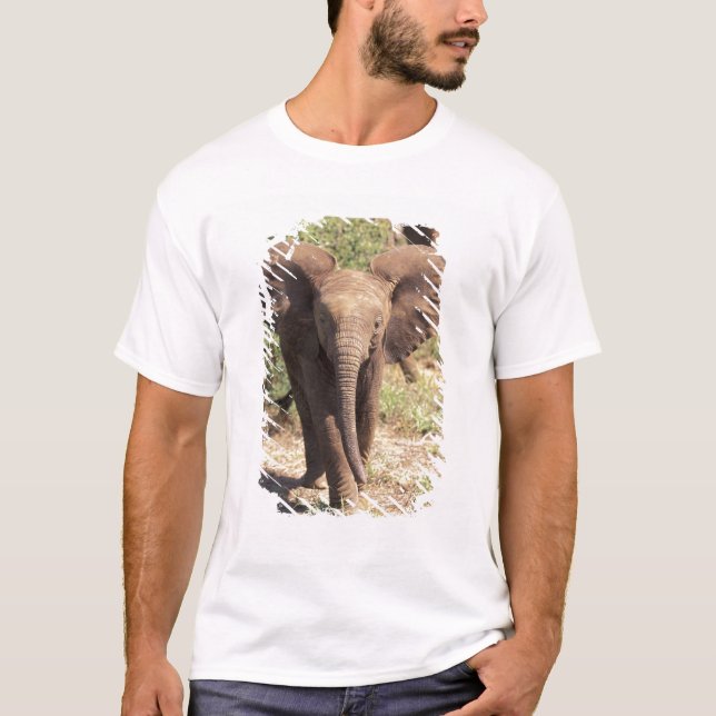 T-shirt Afrique, Kenya, Parc national d'Amboseli. Africain (Devant)