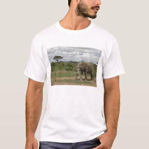 T-shirt Afrique, Kenya, Parc national d'Amboseli, éléphant