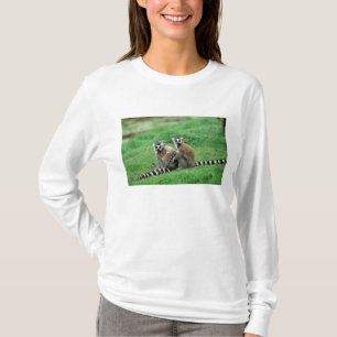 T-shirt Afrique, Madagascar, Antananarivo, Tsimbazaza