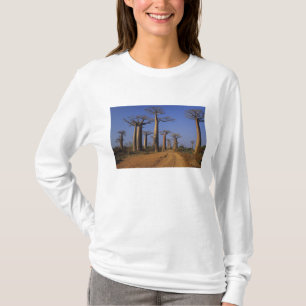 T-shirt Afrique, Madagascar, Morondava, avenue Baobab.