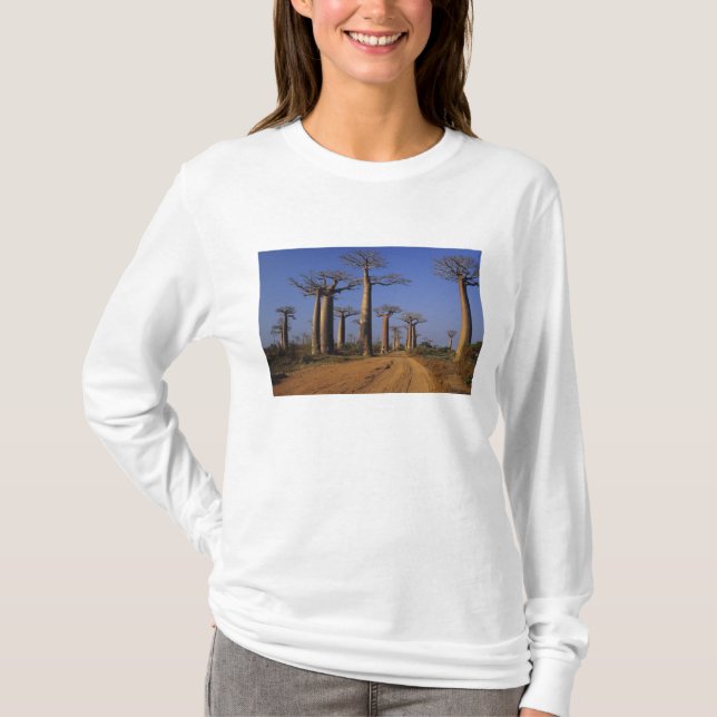T-shirt Afrique, Madagascar, Morondava, avenue Baobab. (Devant)