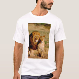 T-shirt Afrique, Namibie, Okonjima. Lion & lionne
