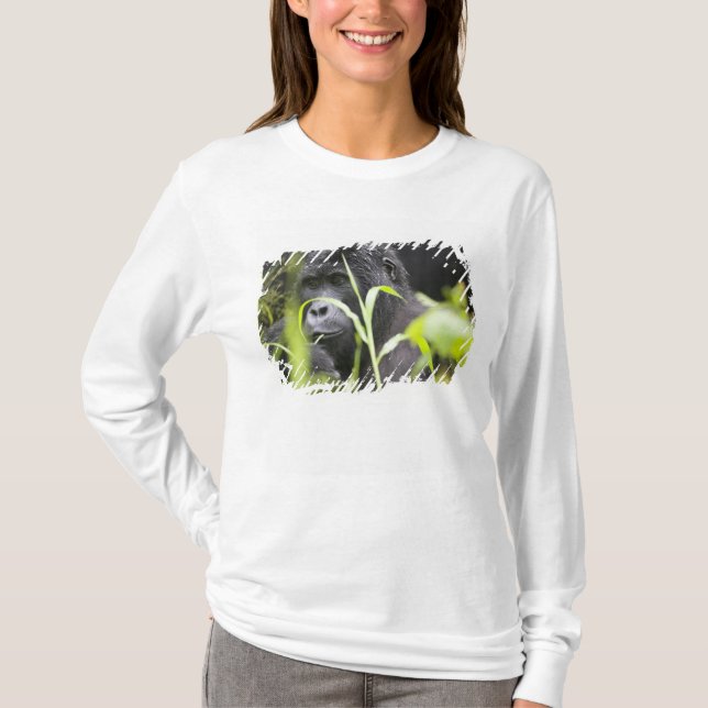T-shirt Afrique Ouganda, Bwindi (Devant)