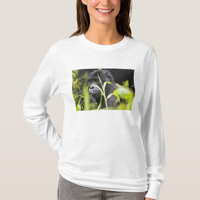 T-shirt Afrique Ouganda, Bwindi (Devant)