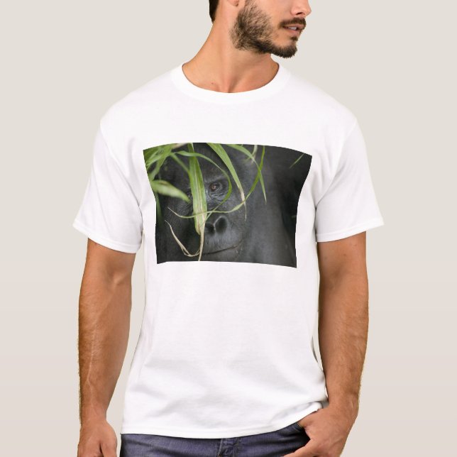 T-shirt Afrique, Ouganda, Bwindi (Devant)